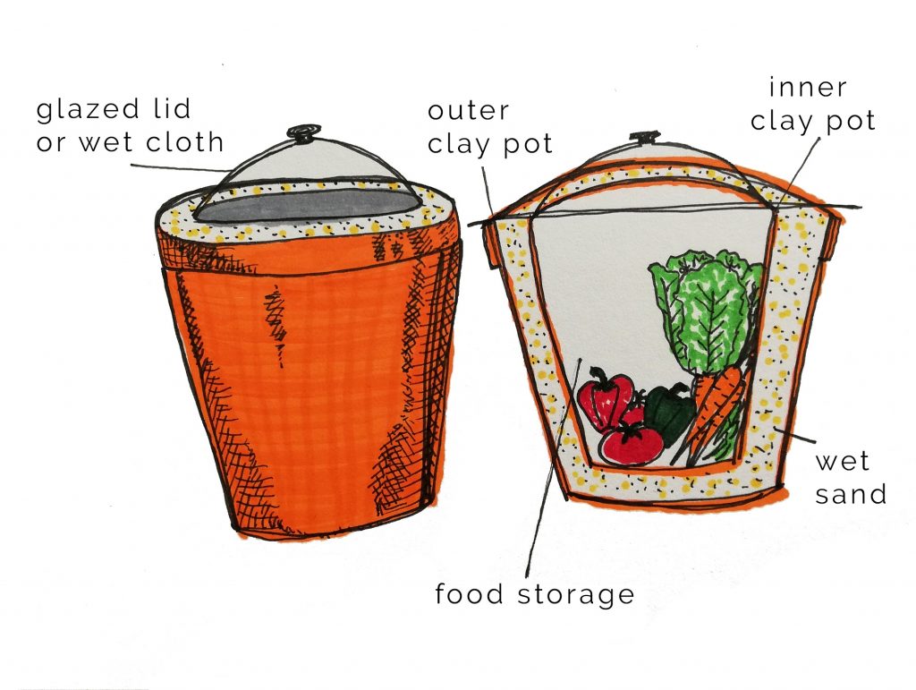 Knowing our Food: Preservation